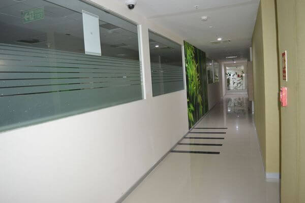 capgemini-5